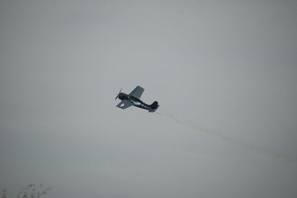 DSC_3296.jpg